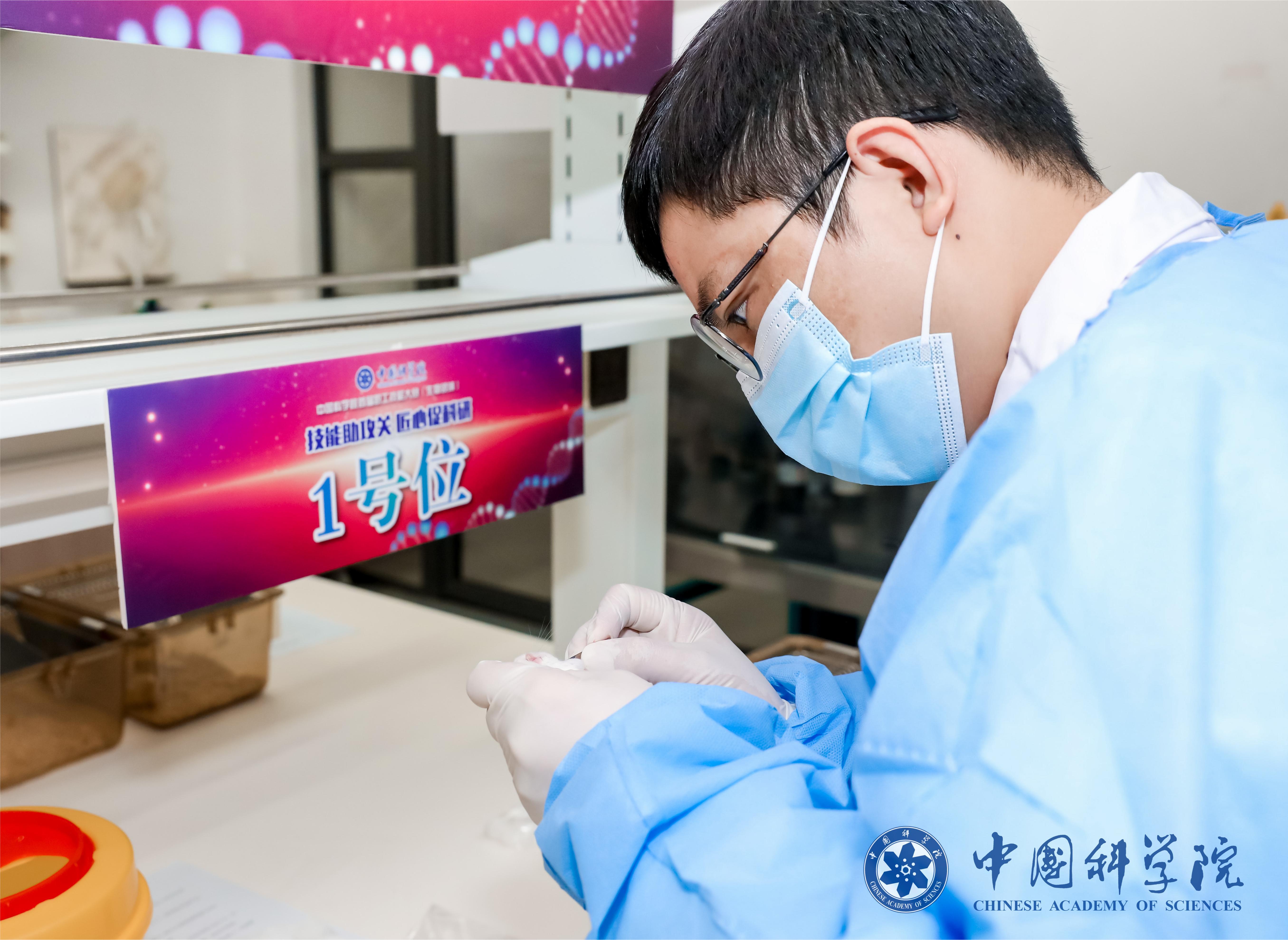 中國科學(xué)院上海賽區(qū)風(fēng)采展示